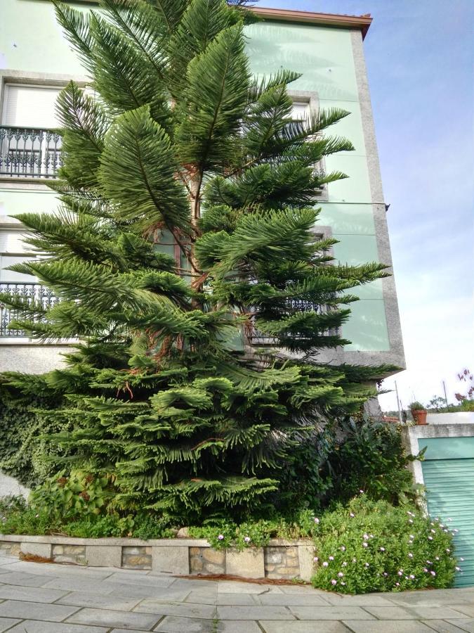 Pisos Vistalegre 2B Con Jardin Cerca Del Mar Lägenhet Sanxenxo Exteriör bild