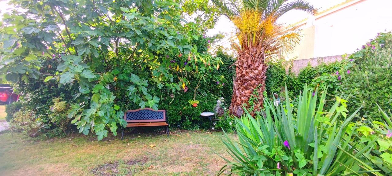 Pisos Vistalegre 2B Con Jardin Cerca Del Mar Lägenhet Sanxenxo Exteriör bild